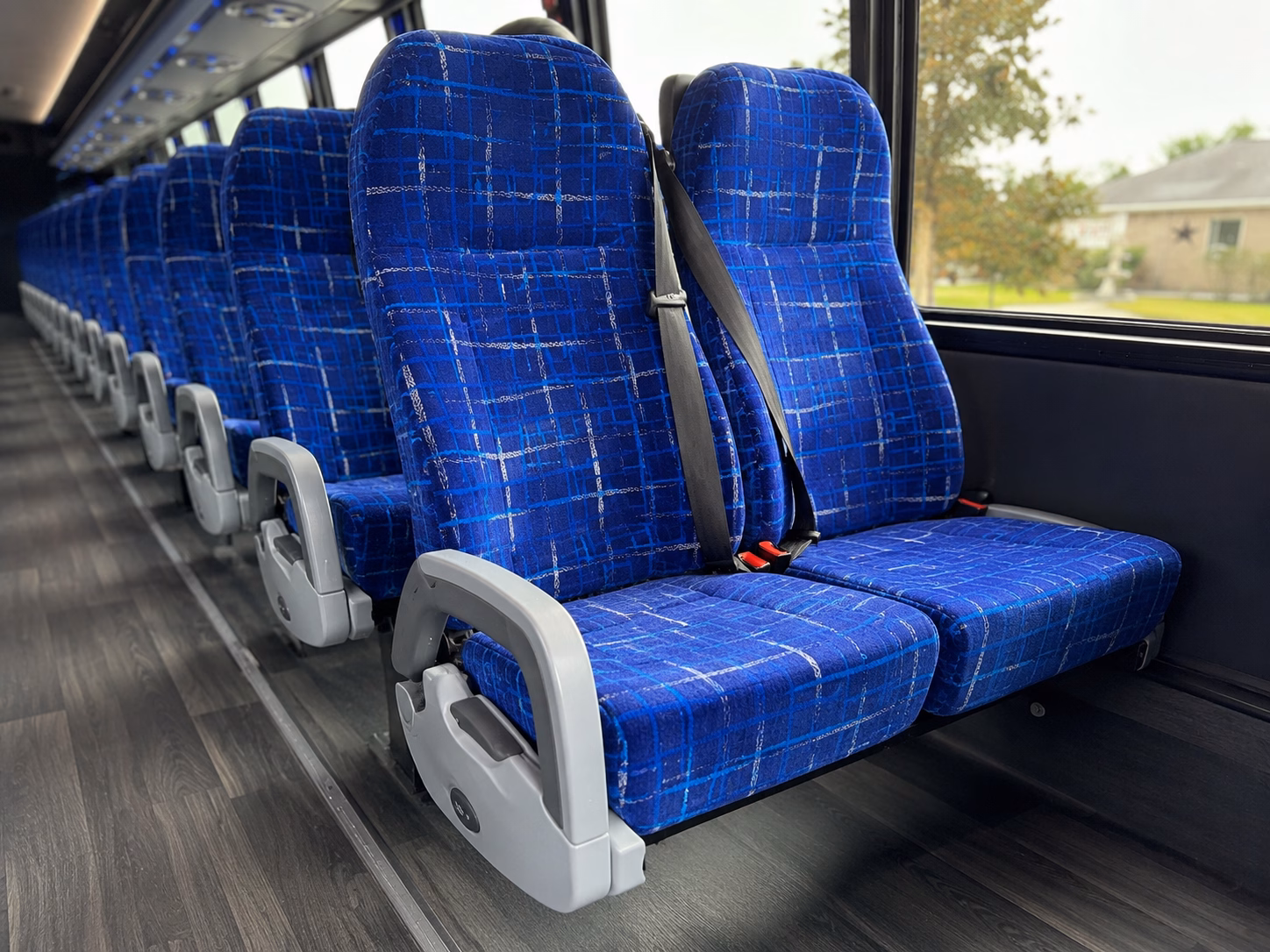 field trips to john ball zoo are easy with a bus from the network