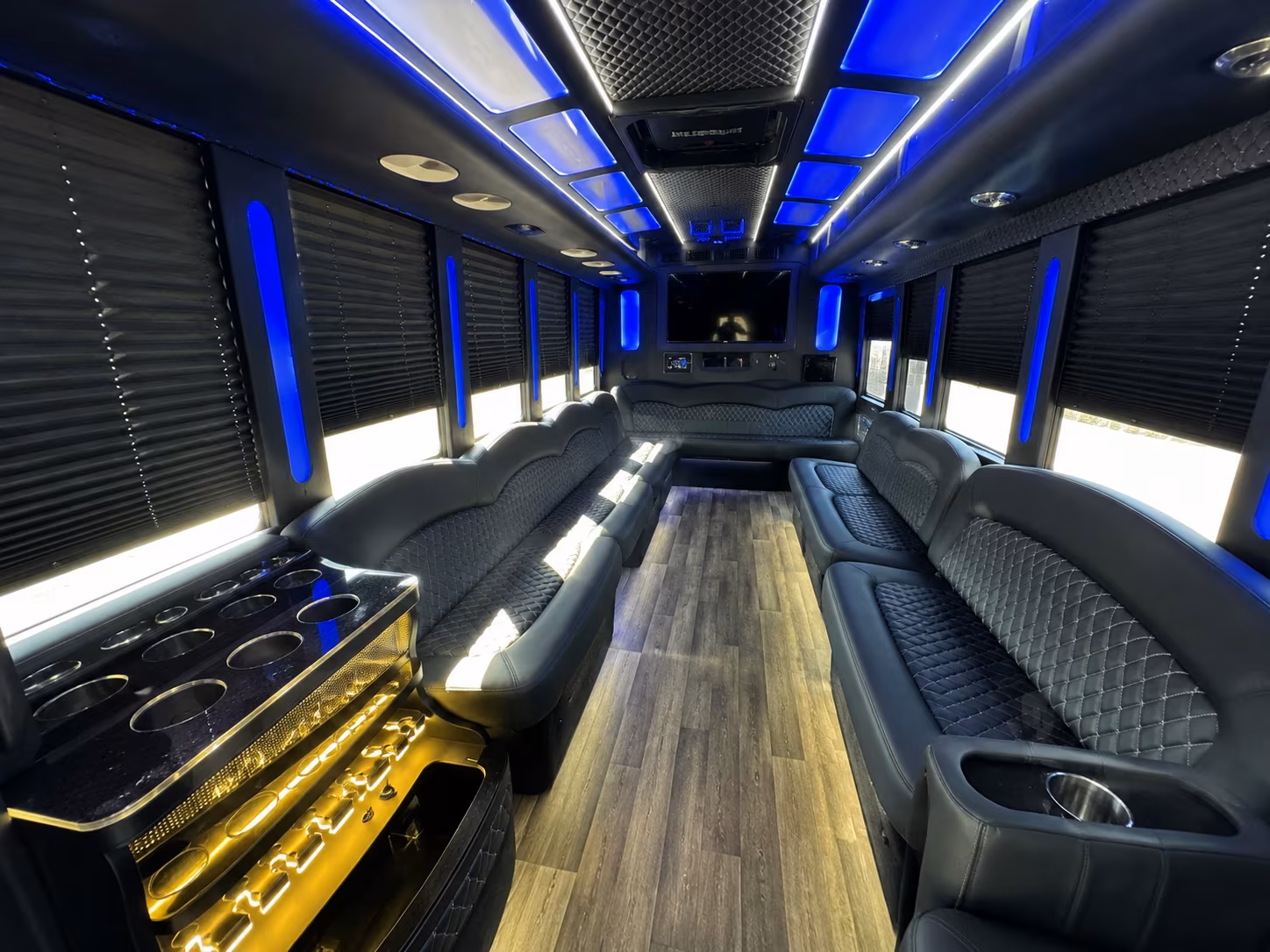 grand rapids birthday party bus rental