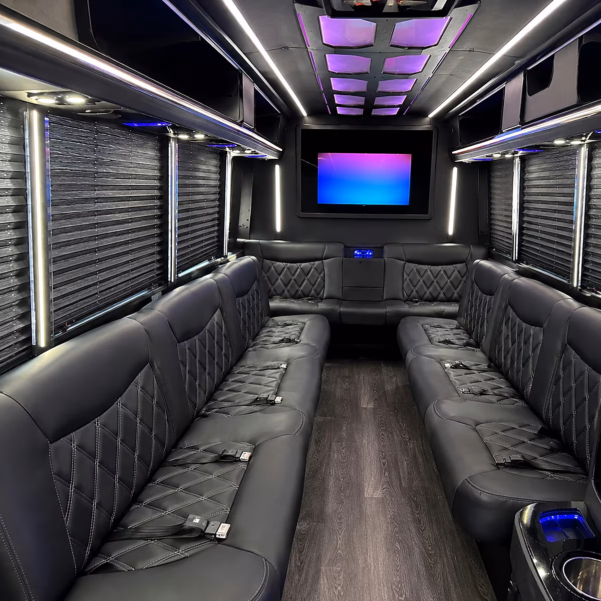 grand rapids party bus rentals inside